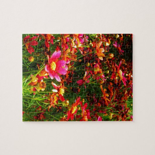 明るいピンクと黄色のデイジー野生の花 ジグソーパズル (横)