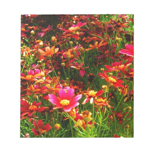 明るいピンクと黄色のデイジー野生の花 ノートパッド (正面)