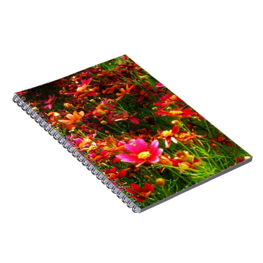 明るいピンクと黄色のデイジー野生の花 ノートブック (右側)