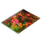 明るいピンクと黄色のデイジー野生の花 ノートブック (左側)