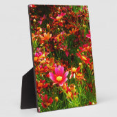 明るいピンクと黄色のデイジー野生の花 フォトプラーク (側面)