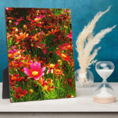 明るいピンクと黄色のデイジー野生の花 フォトプラーク (側面)