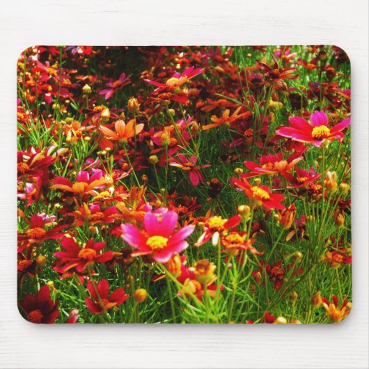 明るいピンクと黄色のデイジー野生の花 マウスパッド (正面)