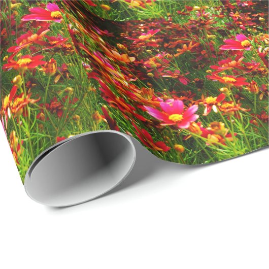 明るいピンクと黄色のデイジー野生の花 ラッピングペーパー (ロールコーナー)