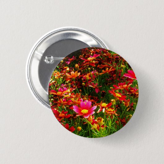 明るいピンクと黄色のデイジー野生の花 缶バッジ (正面&裏面)