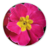 明るいピンクと黄色のプリムローズ花 セラミックノブ (正面)