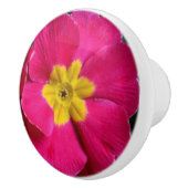 明るいピンクと黄色のプリムローズ花 セラミックノブ (右)