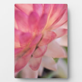 明るいピンクのイチゴ フォトプラーク (正面)