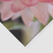 明るいピンクのイチゴ 薄葉紙 (詳細)