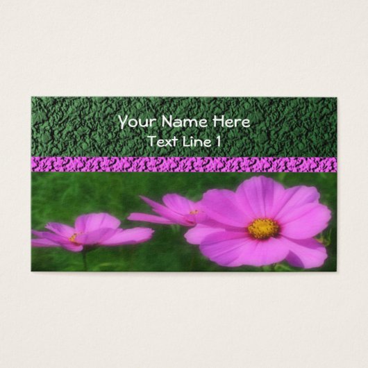 明るいピンクのコスモスの花 (正面)