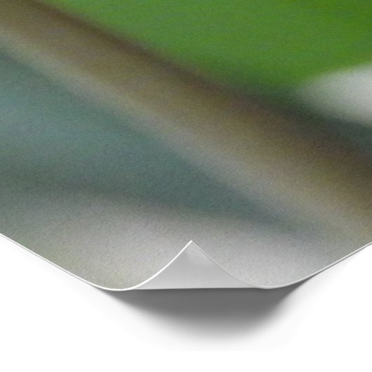 明るいピンクのチューリップの花 ポスター (角)