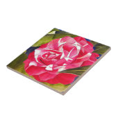 明るいピンクのツバキの水彩アートフラワー タイル (側面)