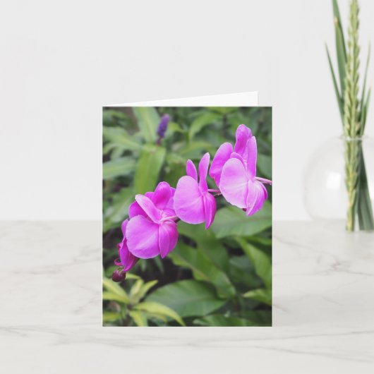 明るいピンクのハワイアン花折りグリーティングカード カード (正面)