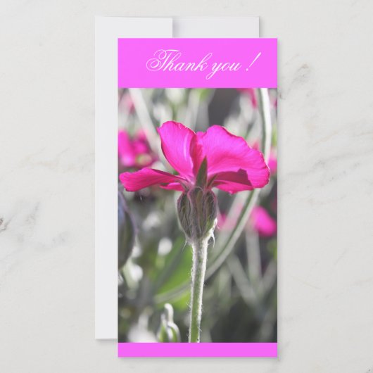 明るいピンクの埃っぽいミラーの花 サンキューカード (正面)