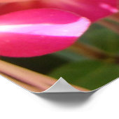 明るいピンクの暗い赤紫色 ポスター (角)