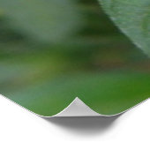 明るいピンクの熱帯性花 ポスター (角)