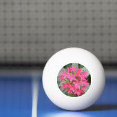 明るいピンクの熱帯花ピンポンボール 卓球ボール (ネット)