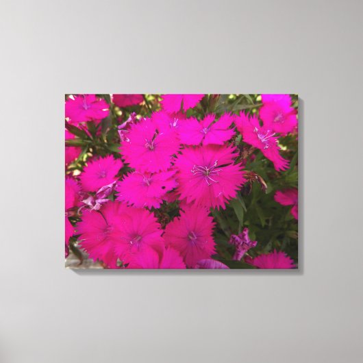 明るいピンクの花の写真 キャンバスプリント (正面)