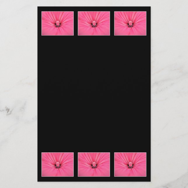 明るいピンクの花。 (正面)