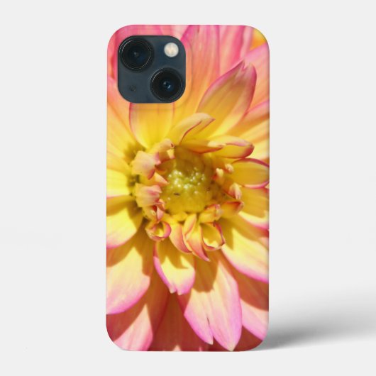 明るいピンクの黄色のダリアの花 Case-Mate iPhoneケース (裏面)