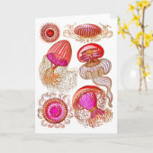 明るいピンク色のクラゲ軟髄膜 カード (黄色い花)