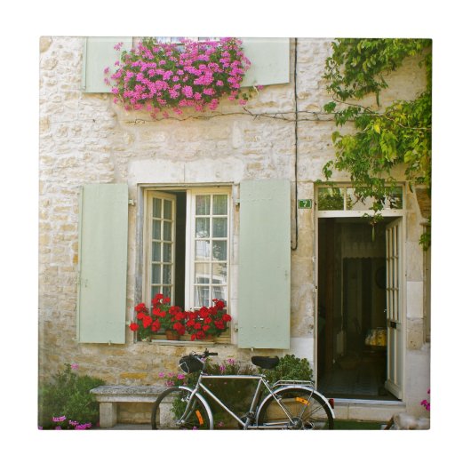 明るいフランス タイル (正面)