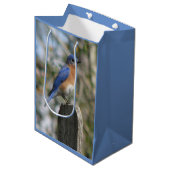 明るいブルーバードの男性 ミディアムペーパーバッグ (正面アングル)