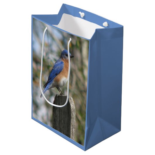 明るいブルーバードの男性 ミディアムペーパーバッグ (正面アングル)