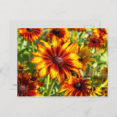 明るいベニフラワーフローラはがき ポストカード (正面/裏面)