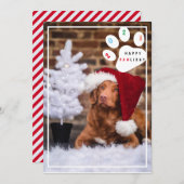 明るいペット幸せなポーリデイハートワンコのホリデーカード シーズンカード (正面/裏面)