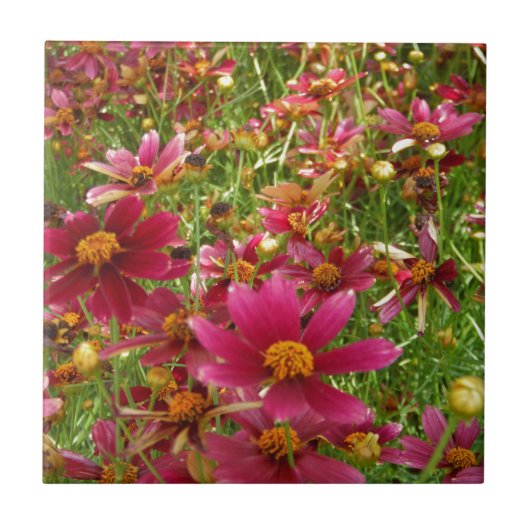 明るいホットピンクと黄色のデイジーの花 タイル (正面)