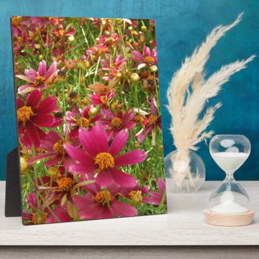 明るいホットピンクと黄色のデイジーの花 フォトプラーク (側面)