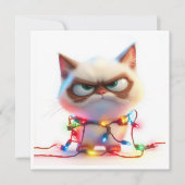 明るいホリデーライト、暗い猫の気分カード シーズンカード (正面)