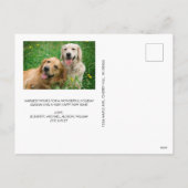 明るいメリーアーチフォトレッドクリスマス シーズンポストカード (裏面)