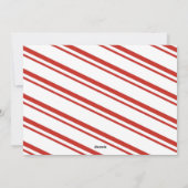 明るいメリー休日の写真 シーズンカード (裏面)