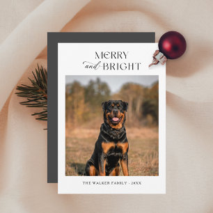明るいメリー犬の写真クリスマスホリデーカード シーズンカード