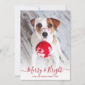 明るいメリー赤の台本1枚の写真クリスマス シーズンカード (正面)