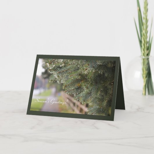 明るいモダンきらめく常緑針休日 カード (正面)