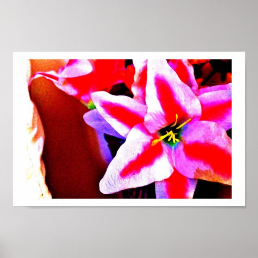 明るいユリ ポスター (正面)