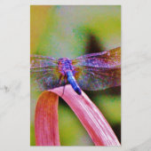 明るいレインボーピンクトンボ 便箋 (正面)