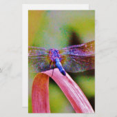 明るいレインボーピンクトンボ 便箋 (正面/裏面)