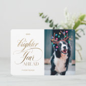 明るい一年先のおもしろいペット写真トナカイのライト シーズンカード (スタンド正面)