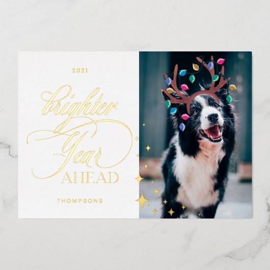 明るい一年先のおもしろいペット写真トナカイのライト 箔シーズンカード (正面)