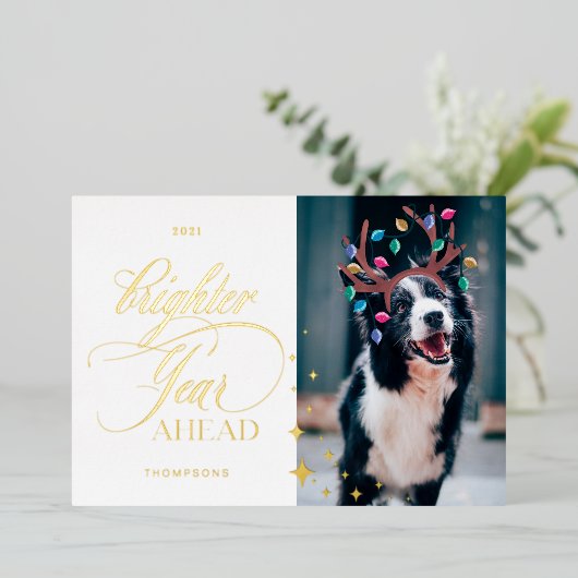 明るい一年先のおもしろいペット写真トナカイのライト 箔シーズンカード (立ち正面)
