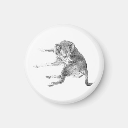 明るい仔犬の笑顔 マグネット (正面)