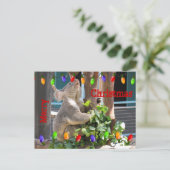 明るい光を照らしてほしい。ポストカード ポストカード (スタンド正面)