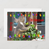 明るい光を照らしてほしい。ポストカード ポストカード (正面/裏面)