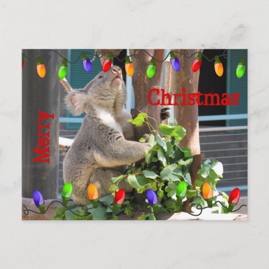 明るい光を照らしてほしい。ポストカード ポストカード (正面)