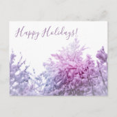 明るい冬の日 ピンク色の雪の木々 シーズンポストカード (正面)