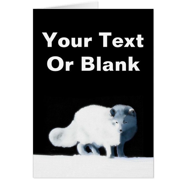 明るい北極キツネ (正面)